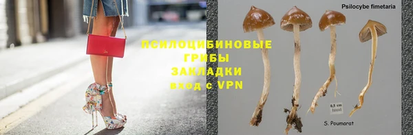 сатива Богородск